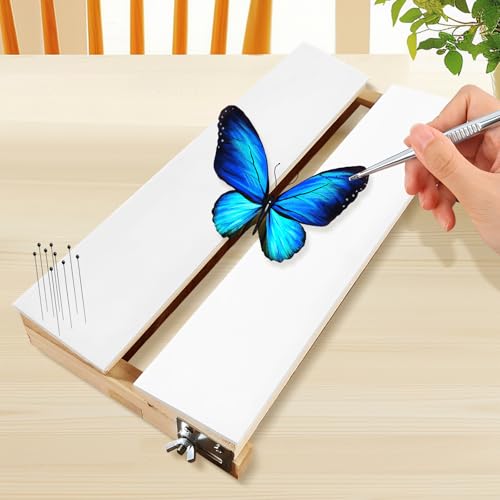 Image of Adjustable Butterfly Mounting Spreading Board, V-Shaped Insect Pinning Board for Entomology Specimen Display, Bug Pinning Kit, Experiment Tool for Labs