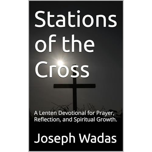 Stations of the Cross Audiolibro Por Joseph Wadas arte de portada