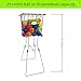 Tennis Ball Hopper,Pickleball Hopper,Baseball Hopper,79 Tennis Or 50 Pickleball Capicity,Also Be Used As Ball Picker,Can Easily Pick Up 30-40 Balls Per Minute