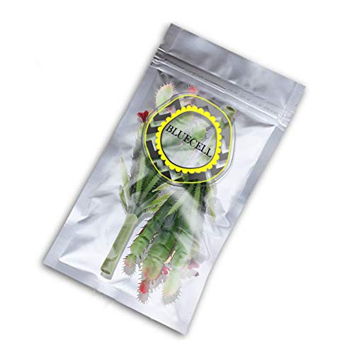 Bluecell 2pcs Real Looking Artificial Cactus Artificial Cacti Plant DIY Material for Home Decoration Flower Arrangement - Thumbnail 4