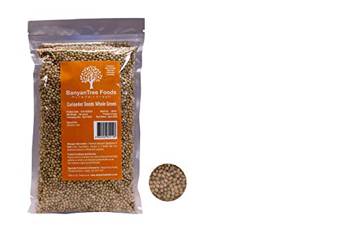 Semillas de Coriandro Fresco Gran paquete resellable 150g