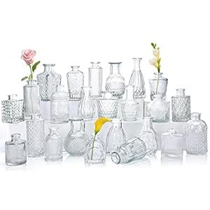 CUCUMI 24 Small, Glass Mini Bud Vase Set for Flowers in Bulk for Rustic Wedding Decorations Vintage Look Home Table Decor, Centerpieces, Clear