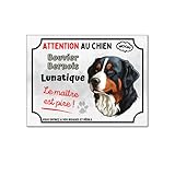 Produit artisanal, fait main Plaque Bouvier Bernois lunatique humour monte la garde panneau pancarte attention au chien en aluminium