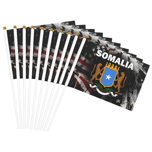Rqwaaed Somalia Coat Of Arms Flag Double Flags Fluttering Hands