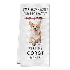 What My Corgi Wants