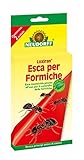 2 Latas de cebo para hormigas