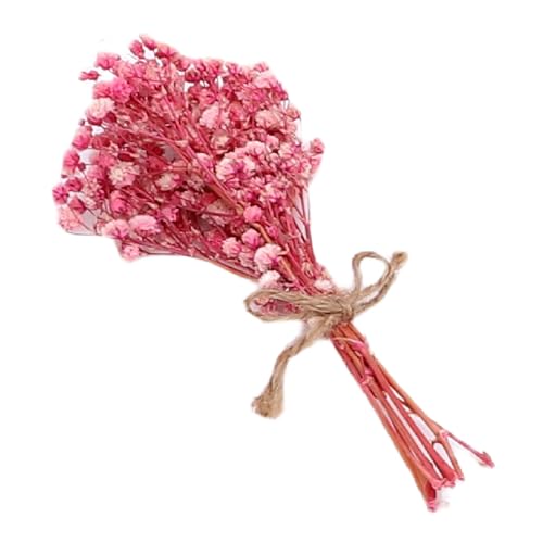 Mini ramo de flores secas hecho a mano, 12 piezas miniatura 5