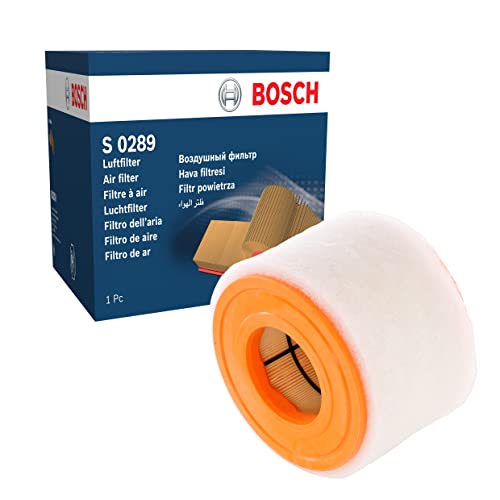 Bosch S0289, Filtro Aria