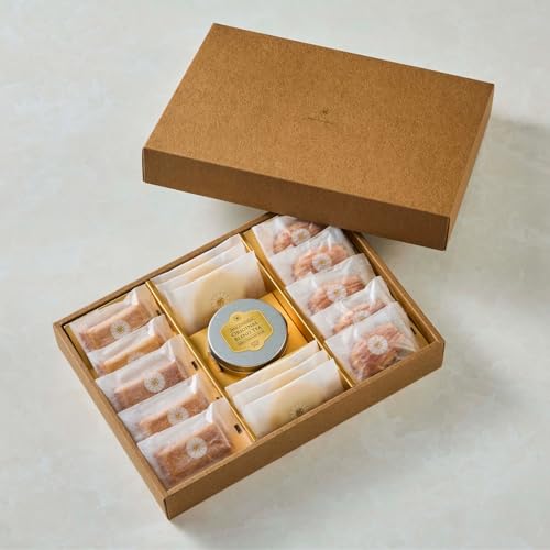 yLOفz v~AEA\[g 4 (TuE}h[kEtBiVFEg)  Mtg