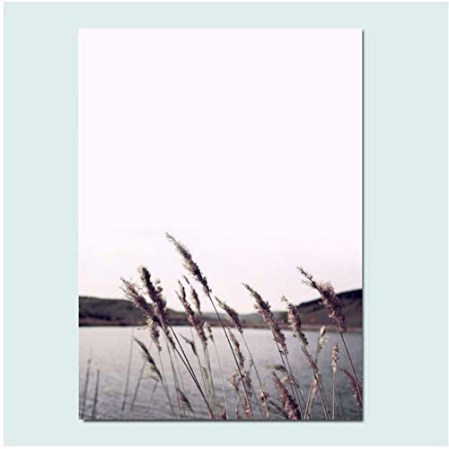 Affiche Rose Paysage Marin : posters et gravures mur art toile maison 50x70cm