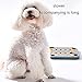 AOOOWER Interactive Dog Treat Puzzle Toy for Training Pet Slow Feeders Tray Puppy Educational Toy for Small Dogs