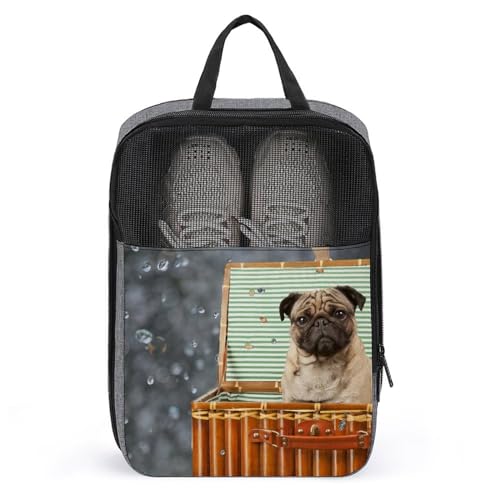 V[YP[X pO  V[YobO V[Y 㗚 [obO C C CobO gx|[`  y h C  肪t @\ ho hL ʋC ^h~ o s ƒp Y fB[X [