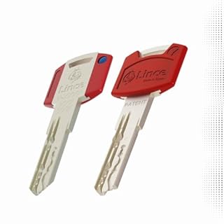 Lince - Cylindre Serrure de Haute Sécurité C7 L30+30 | Débrayable avec 5 Clés | Couleur Nickel | Résistant à toutes les Techniques de Cambriolage Connues