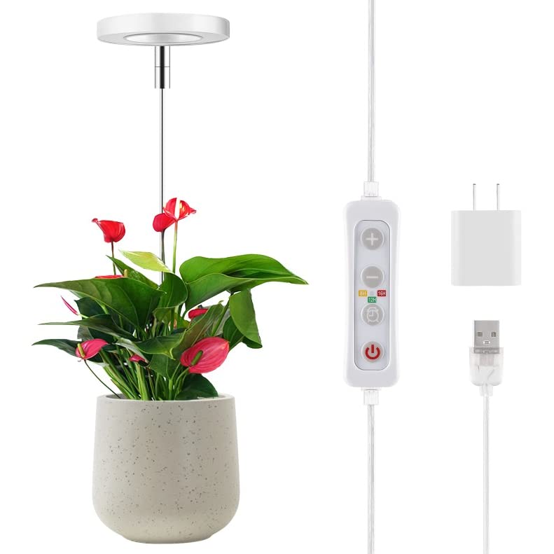 10 Best Budget Grow Lights 2022 Reviews