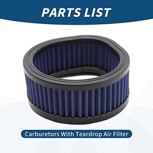 DUZFOREI 12-579 Teardrop Filter
