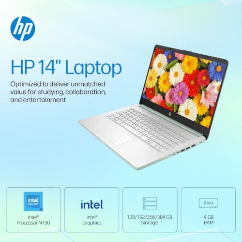 Image of HP 14 inch HD Student Business Laptop, Intel N150, 4GB RAM, 384GB Storage