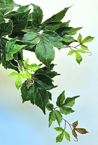 artplants.de Vigne Vierge Artificielle à Trois Pointes ZANTI, 50 cm