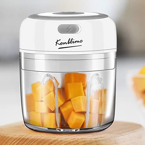 Best Mini Food Processor By Consumer Reports 10Reviewz