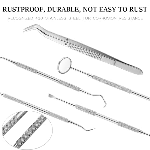 Image of Professional Oral Care Kit Advanced Clean- Portable Dental Tools,Stainless Steel Dental Hygiene Kit with Dental Picks for Men Women Kids and Pet Care(5pack)- with Case