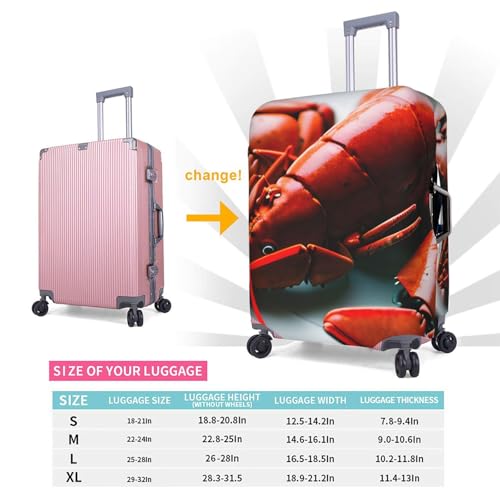 Housse de valise élastique pour protéger bagage des rayures