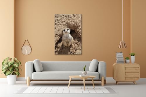 Impression sur toile suricate grand format pour habiller un mur vide - 2