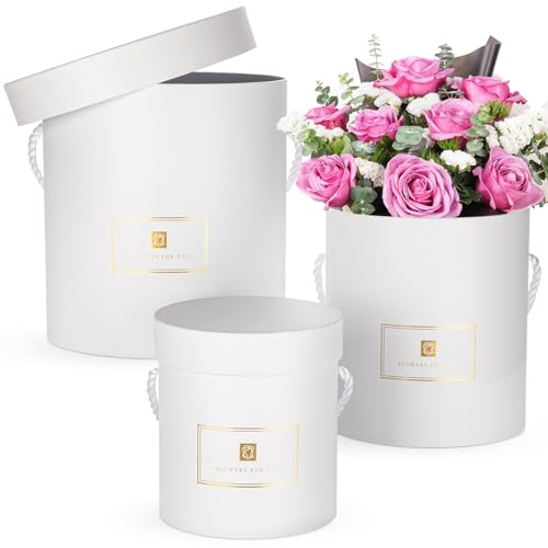 Oairse Lot de 3 boîtes cadeau rondes avec couvercles et poignées en blanc, boîtes à fleurs pour arrangements, boîtes à chapeau décoratives pour cadeaux,...