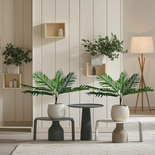 Image of Kayra Decor Natural Looking Areca Palm | Ornamental Plant for Interior | Indoor Tropical Plant for Home /Shop /Office Decor /Gifting Artificial Plant with Nursery Pot (1.75 ft, Green)