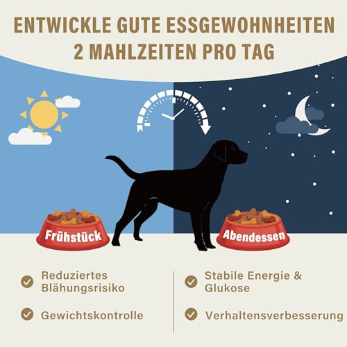 Magnet 'Hund Gefüttert' Futteranzeige – Praktische Fütterungshilfe & Erinnerung (Morgens/Abends), Acryl Silber gebürstet, Haftet magnetisch, inkl, 2 Paar Klebepads, 12 x 6.8 cm