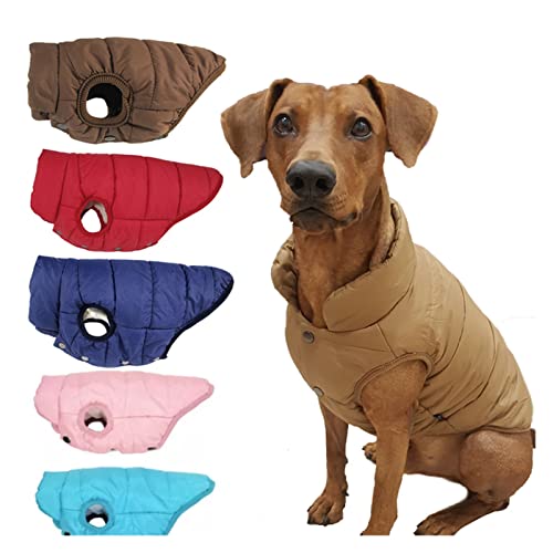 Vêtement chaud pour petit chien bleu ciel | Manteau d'hiver taille S - 3