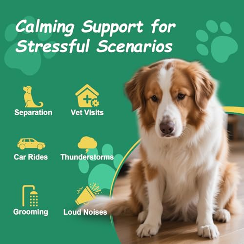Image of Неmр Calming Chews for Dogs, Anxiety Relief, Sleep Calming Aid, Health & Wellness Supplements for Dog Separation Barking, Chicken Flavor, 180 Chews for All Breeds Ages