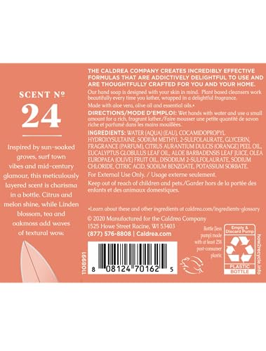 Image of Caldrea Hand Wash Soap, Tangelo Palm Frond 10.8 Fl Oz