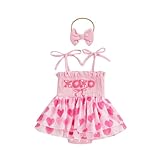 Baby Girl Romper Dress Lace Tulle Tutu Bodysuit Jumpsuit Flowers Embroidery Skirt Infant Girl Spring Summer Clothes (Pink heart, 3-6 Months)