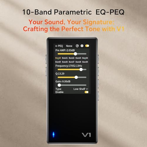 Image of TempoTec Variations V1 Portable HiFi Music Player,Digital Audio Player with Two Way Bluetooth 5.1. 4.4mm&3.5mm Headphone Ports +Black Back Clip