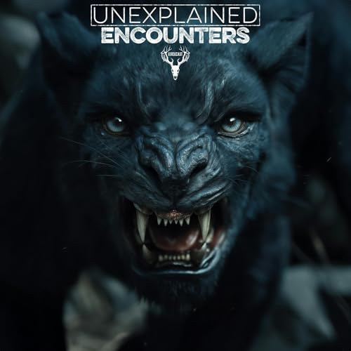 Page de couverture de 542 | WARNING: Australian SKINWALKER Loose in the Countryside! 7 True HORROR Stories of the Unexplained