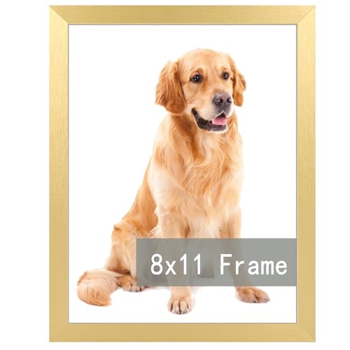 RUN HELIX 8x11 Picture Frame Gold for Wall Hanging or Tabletop- Wall Mounting Horizontally or Vertically, 8 x 11 Wall Gallery Poster Photo Frame for 8 by 11 Photo, Gold gold 8X11inch(set of