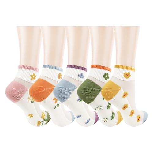 Image of Benefeet Sox Sheer Socks for Women Girls Mesh Ankle Socks Transparent Mesh Lace Sock Cute Thin Nylon See Through Sock