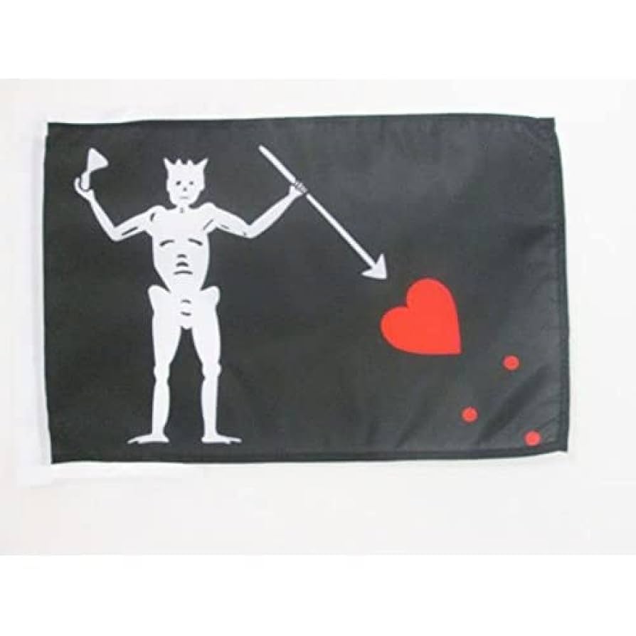 Amazon.co.jp: AZ FLAG 海賊エドワードティーチフラッグ 18