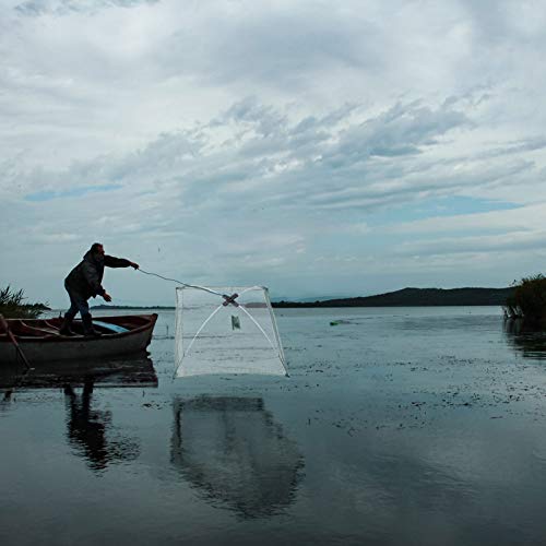 Rede de pesca Besportble, rede de pesca dobrável, rede de pesca, armadilha de peixe, rede de pesca p