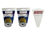 Cyclemax Two Pack compatible with Suzuki Oil Filter 16510-29F00 Contains Two Filters and a Funnel