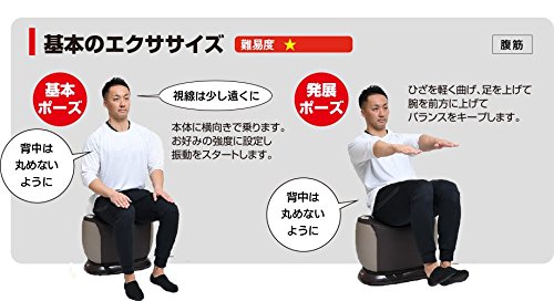 Amazon.co.jp: パワーウェーブライド （ ダイエット運動器具