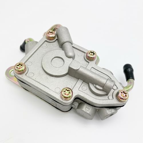 Alimentación de combustible para buggy UTV 300cc Jcl y Linhai Bighorn 4