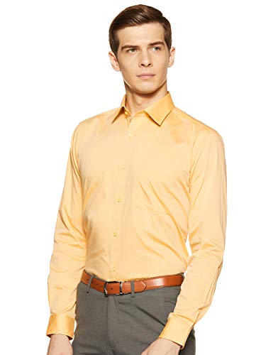 Image of Raymond Men's Slim Fit Formal Shirt