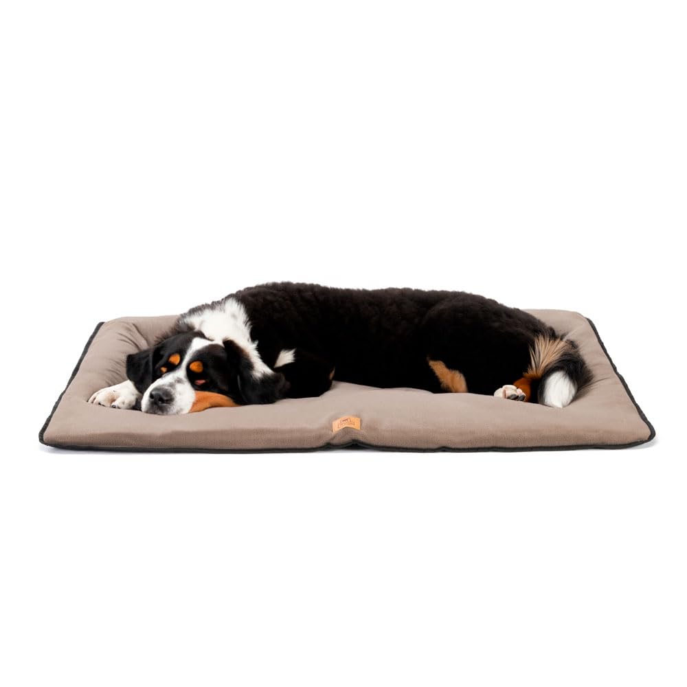 Tapis pour chien idéal après la balade matelas imperméable pour le salon