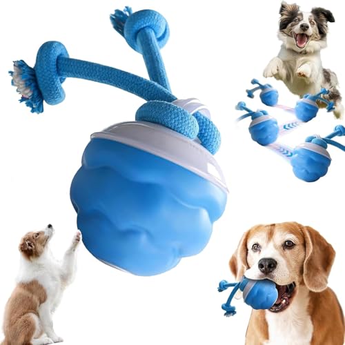 Interactive Dog Ball Toy, USB Rechargeable Squeaky Interactive Rolling Dog Toys Ball, Automatic Moving Dog Ball Chew Toy with Fun Rope for Small/Medium/Large Dog Cat Indoor/Outdoor Boredom Enrichment