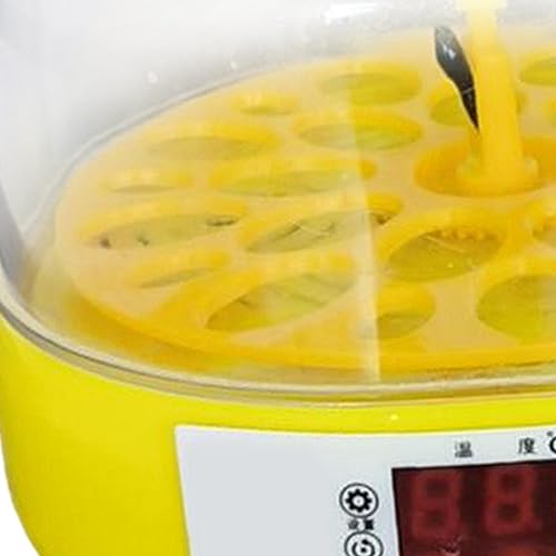 Yajuyi Chocadeira de ovos para aves - Equipamento de incubação automática, Totalmente automatizado