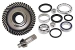 Car Differential Seals