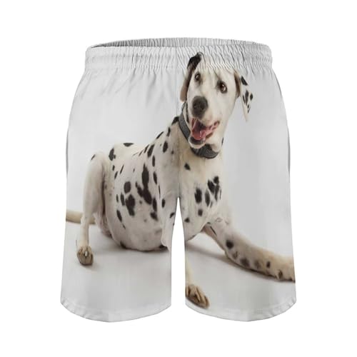 Shorts de bain dalmatien maillot de bain séchage rapide