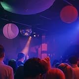8919982 Records DK