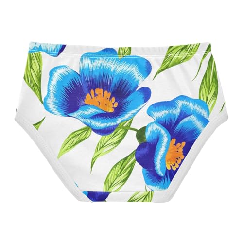 Girls Underwear Toddler 2t Cotton Little Girl Panties Designer Kids Briefs Undies Blue Flowers Green Leaves White2