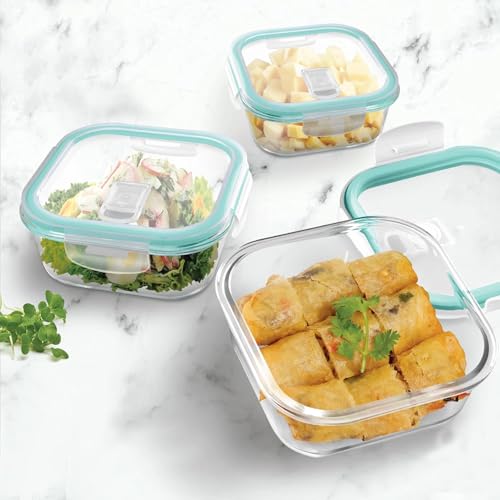 Image of Transparent Glass Lunch Box | Borosilicate Glass Container with Airtight Clip Lock Lid | Microwave, Freezer Safe Glass Tiffin Box (Borosilicate Glass Lunch Box - Square - 500 ml (Pack Of 2)